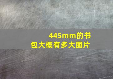 445mm的书包大概有多大图片