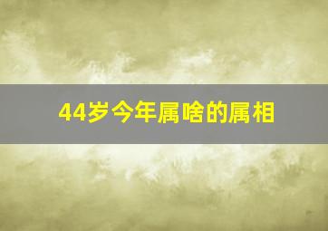 44岁今年属啥的属相