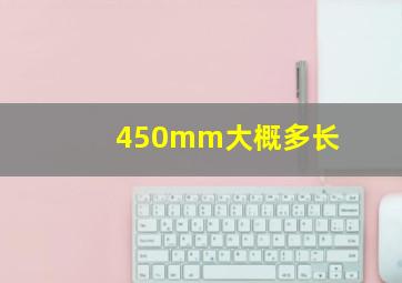 450mm大概多长