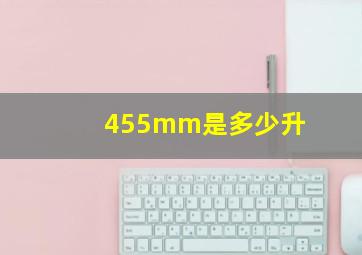 455mm是多少升