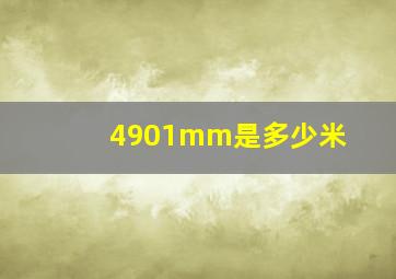 4901mm是多少米