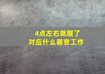 4点左右就醒了对应什么器官工作