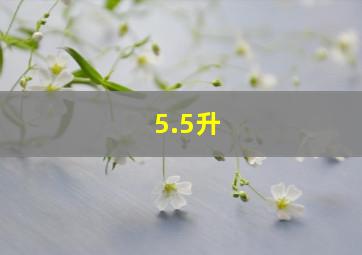 5.5升