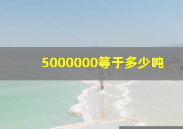 5000000等于多少吨