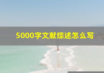 5000字文献综述怎么写