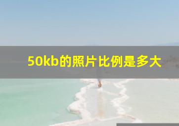 50kb的照片比例是多大