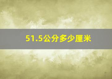 51.5公分多少厘米