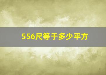 556尺等于多少平方