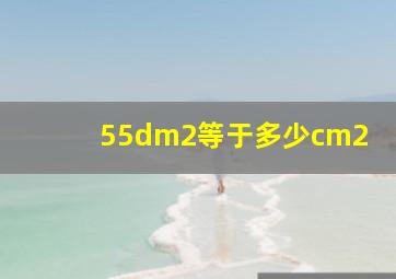 55dm2等于多少cm2