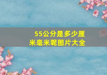 55公分是多少厘米毫米呢图片大全