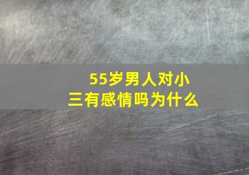 55岁男人对小三有感情吗为什么