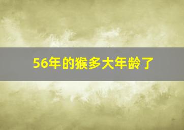 56年的猴多大年龄了