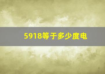 5918等于多少度电