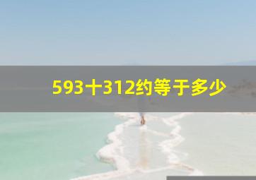 593十312约等于多少