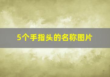 5个手指头的名称图片