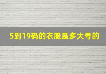 5到19码的衣服是多大号的