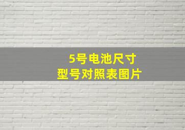 5号电池尺寸型号对照表图片