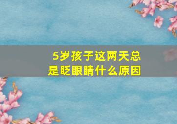 5岁孩子这两天总是眨眼睛什么原因