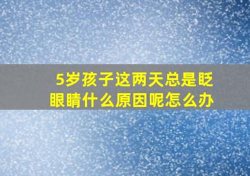 5岁孩子这两天总是眨眼睛什么原因呢怎么办