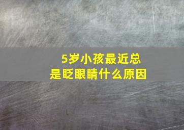 5岁小孩最近总是眨眼睛什么原因