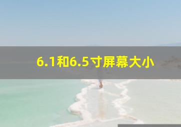 6.1和6.5寸屏幕大小