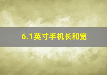 6.1英寸手机长和宽