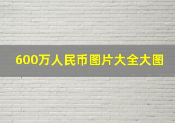 600万人民币图片大全大图