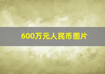 600万元人民币图片