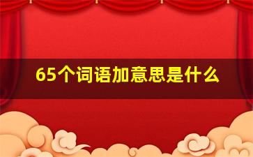 65个词语加意思是什么