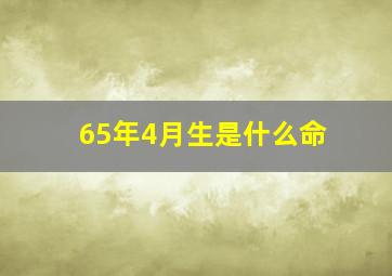 65年4月生是什么命