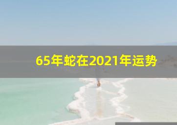 65年蛇在2021年运势