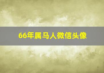 66年属马人微信头像