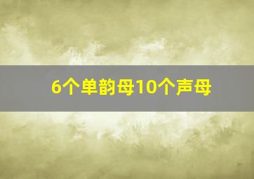 6个单韵母10个声母