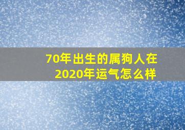 70年出生的属狗人在2020年运气怎么样