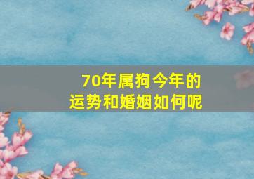 70年属狗今年的运势和婚姻如何呢