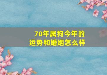 70年属狗今年的运势和婚姻怎么样