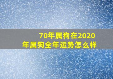 70年属狗在2020年属狗全年运势怎么样