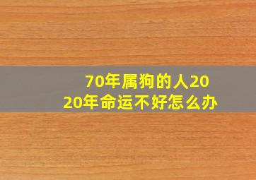 70年属狗的人2020年命运不好怎么办