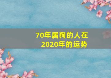 70年属狗的人在2020年的运势