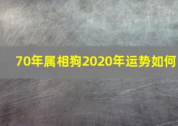 70年属相狗2020年运势如何