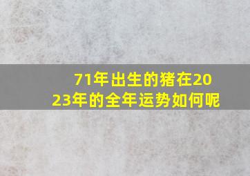 71年出生的猪在2023年的全年运势如何呢