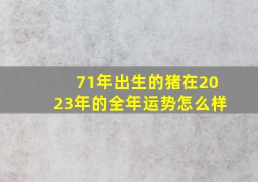 71年出生的猪在2023年的全年运势怎么样