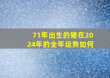 71年出生的猪在2024年的全年运势如何