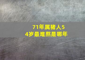 71年属猪人54岁最难熬是哪年