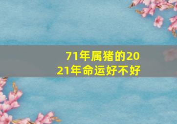 71年属猪的2021年命运好不好