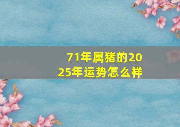 71年属猪的2025年运势怎么样