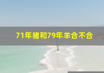 71年猪和79年羊合不合