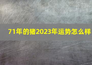 71年的猪2023年运势怎么样