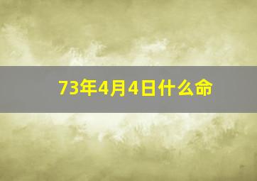 73年4月4日什么命