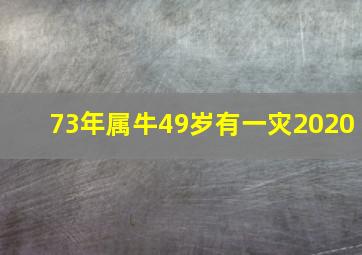 73年属牛49岁有一灾2020